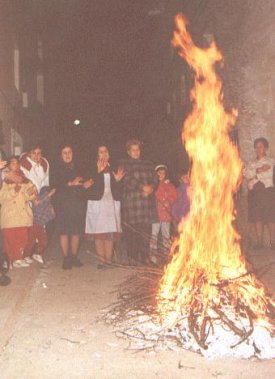 Hoguera de San Ant&oacute;n95(AGP)